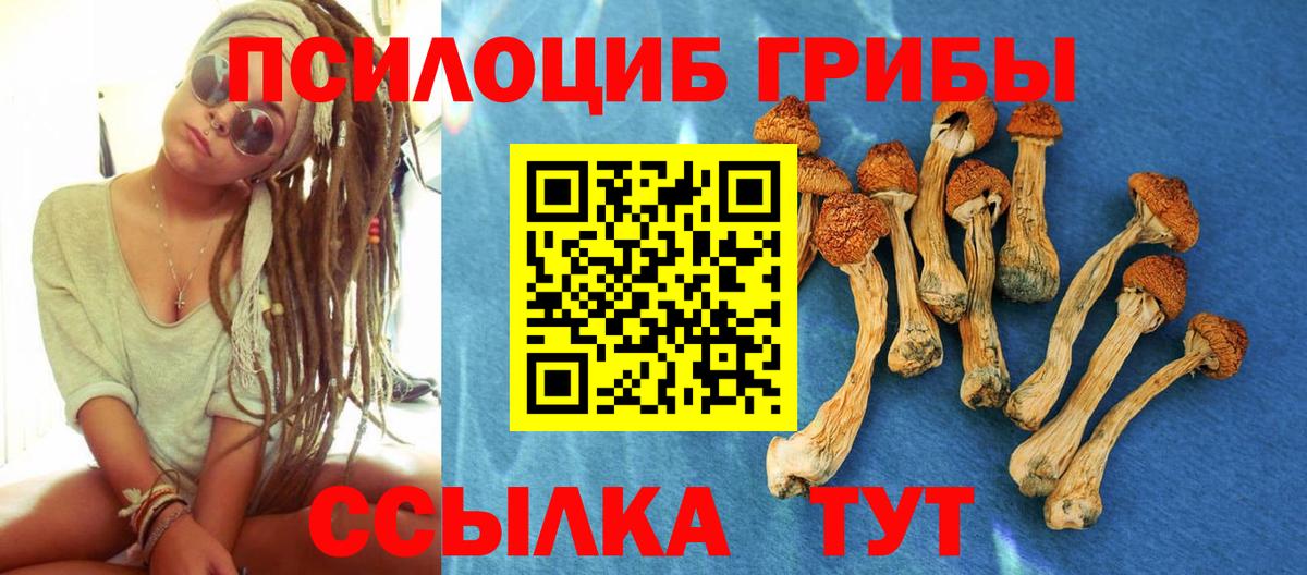 Псилоцибиновые грибы мухоморы Каменка