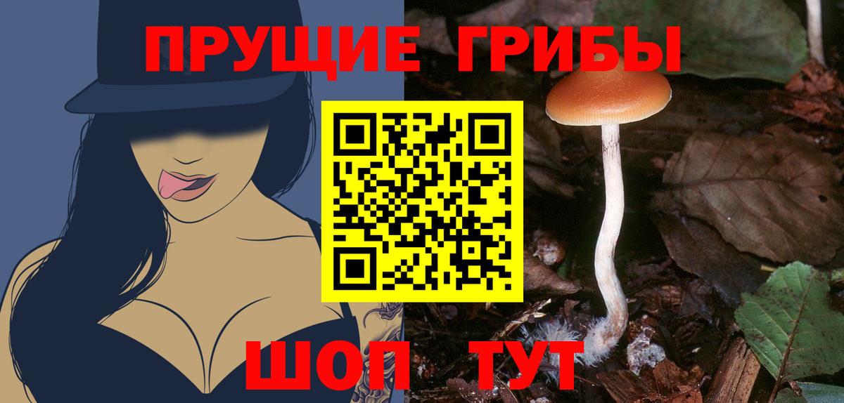 Меф МЯУ МЯУ   Кокаин  ГАШИШ  Каннабис  APVP СК кристаллы  Каменка  Продажа наркотиков  Вход с VPN 